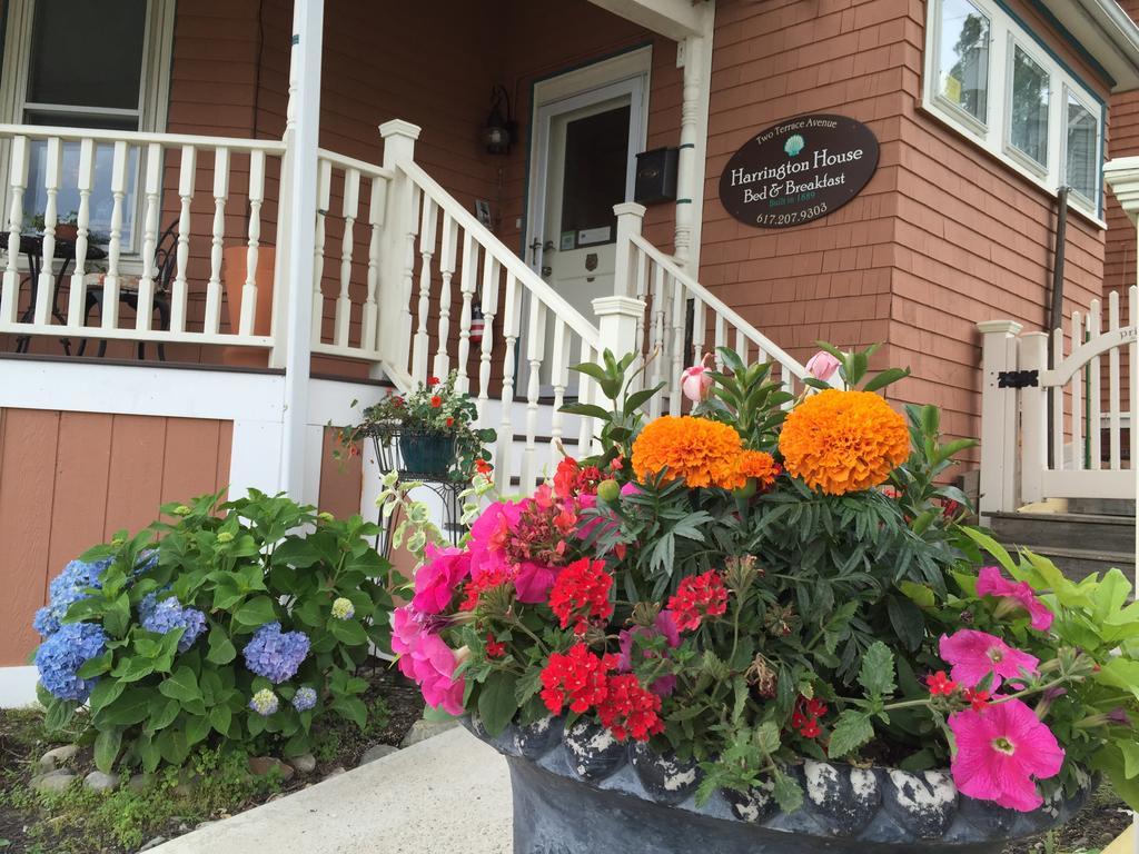 Harrington House Bed & Breakfast 温斯洛普 外观 照片