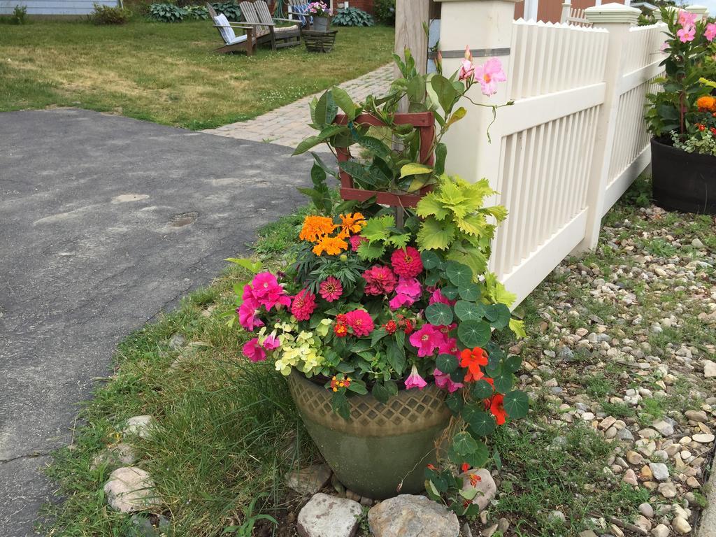Harrington House Bed & Breakfast 温斯洛普 外观 照片