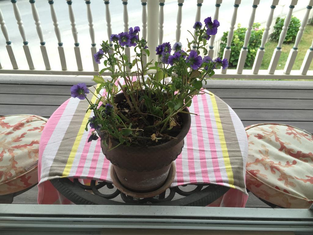 Harrington House Bed & Breakfast 温斯洛普 外观 照片